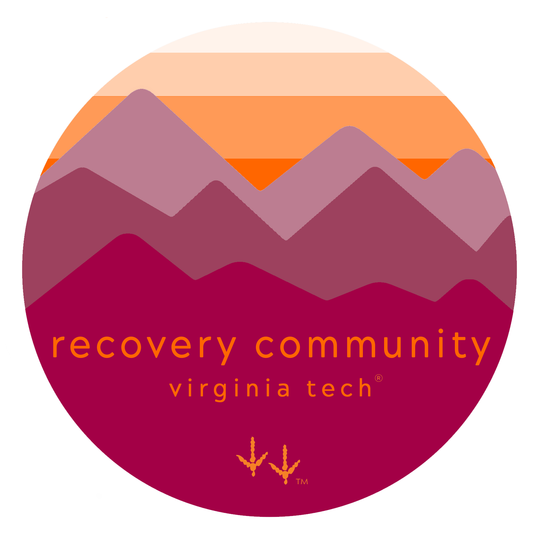recovery vt logo